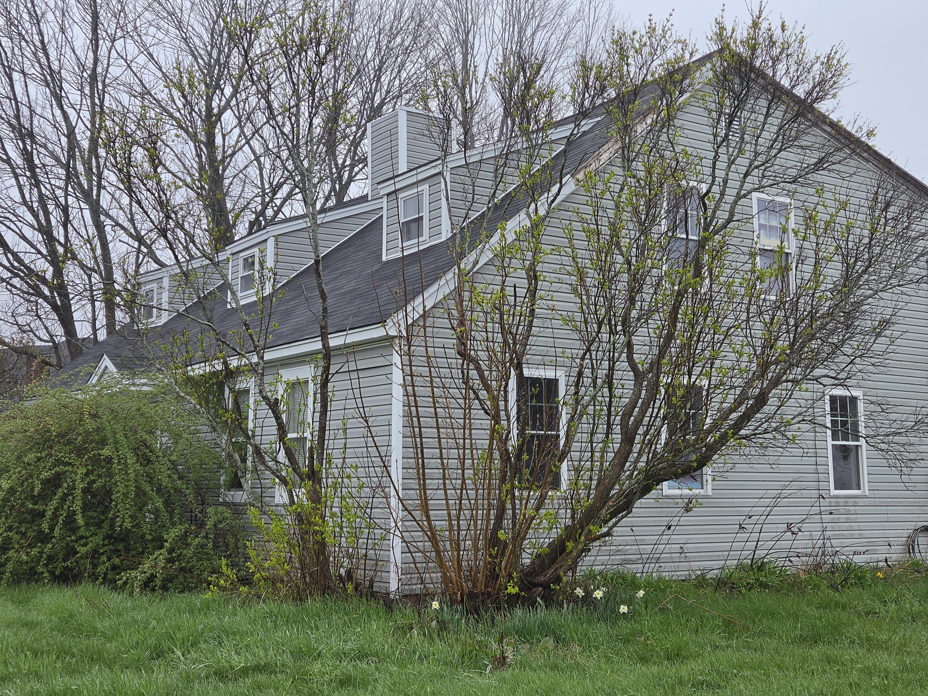 23 Gray Avenue Saco ME 04072