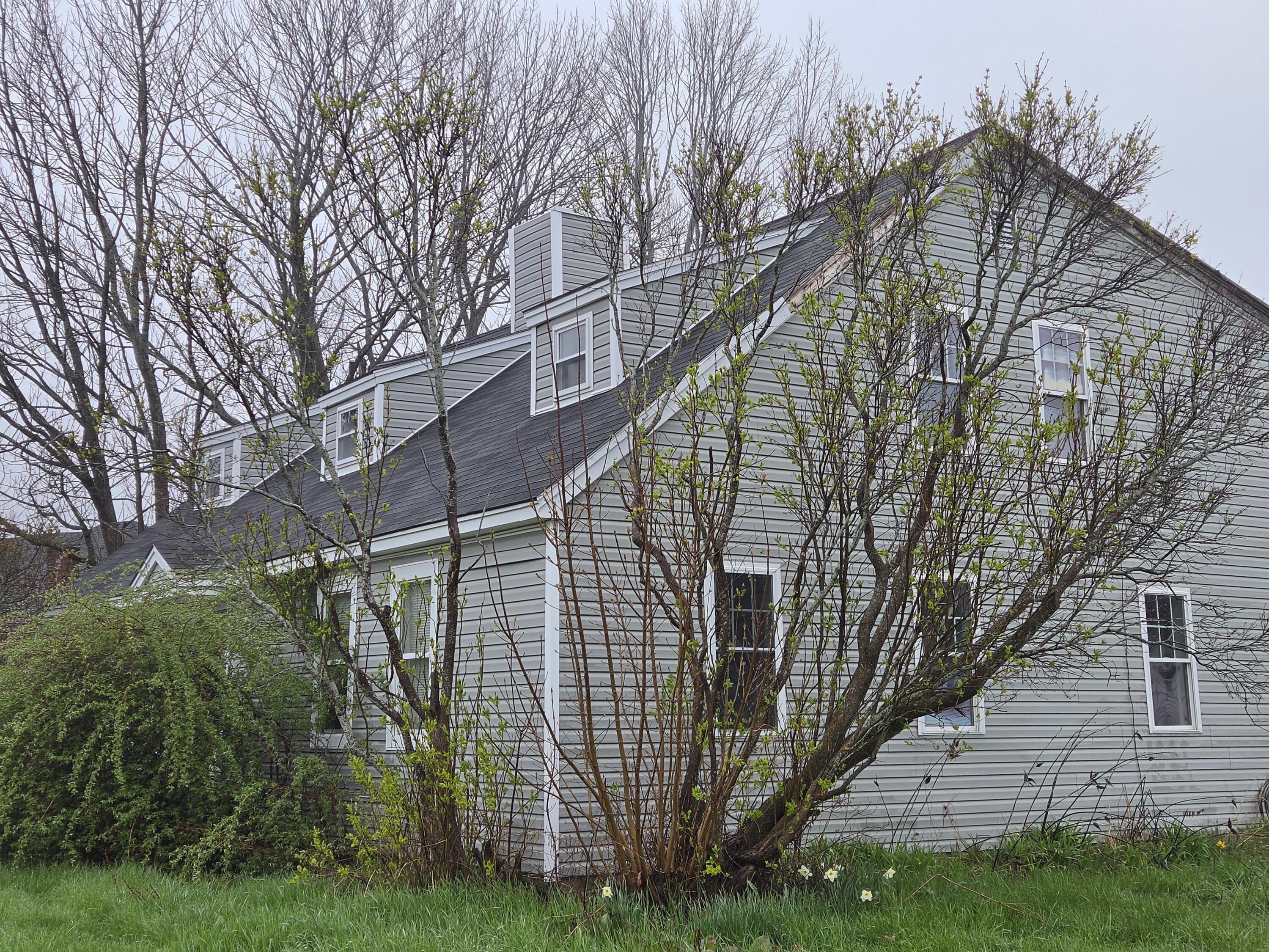 23 Gray Avenue Saco ME 04072