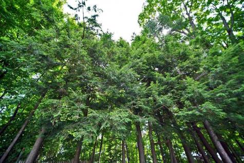 20 High Street Houlton ME 04730