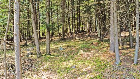 34 Veterans Street Peru ME 04290