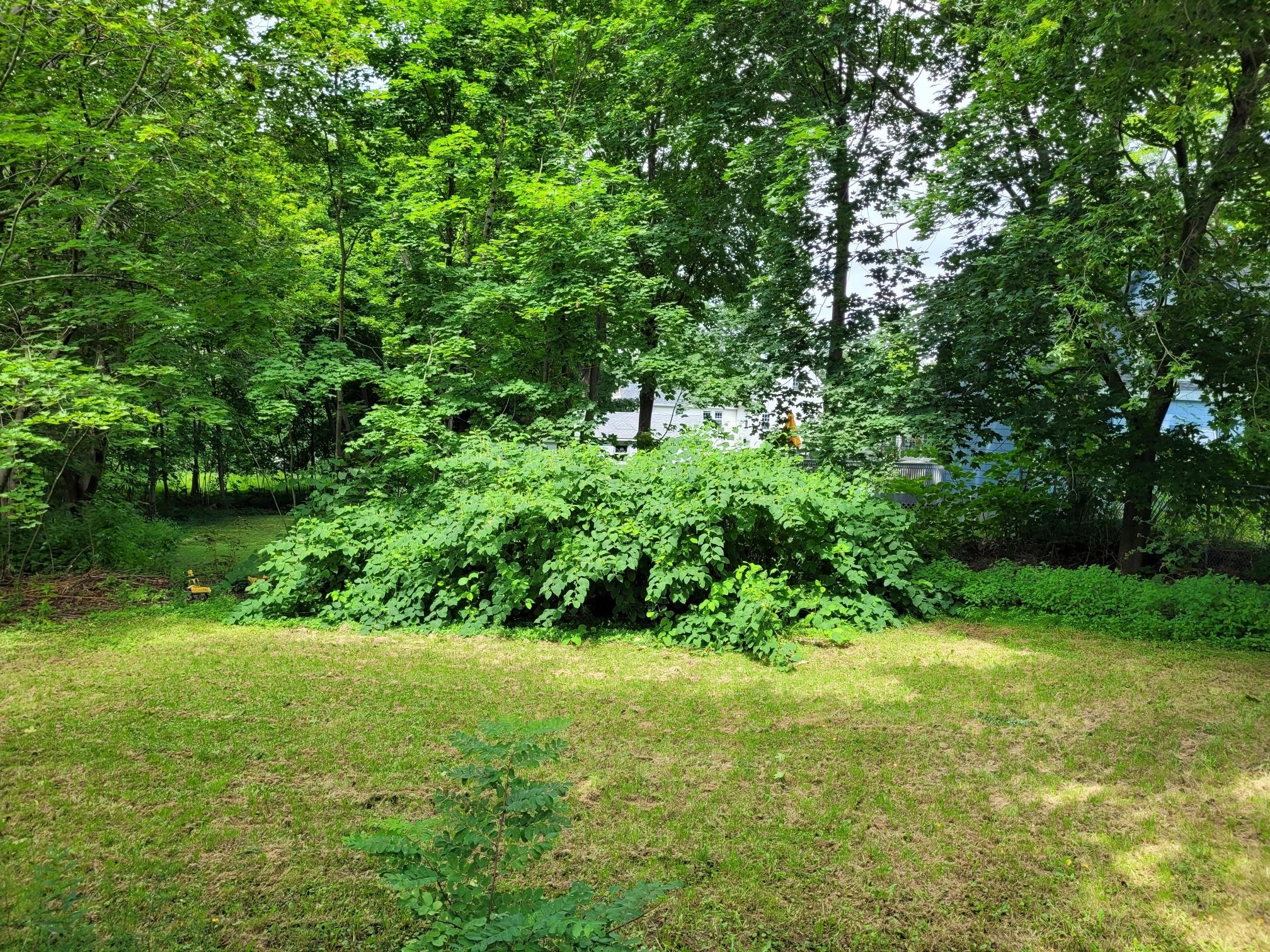 39 Central Street Gardiner ME 04345