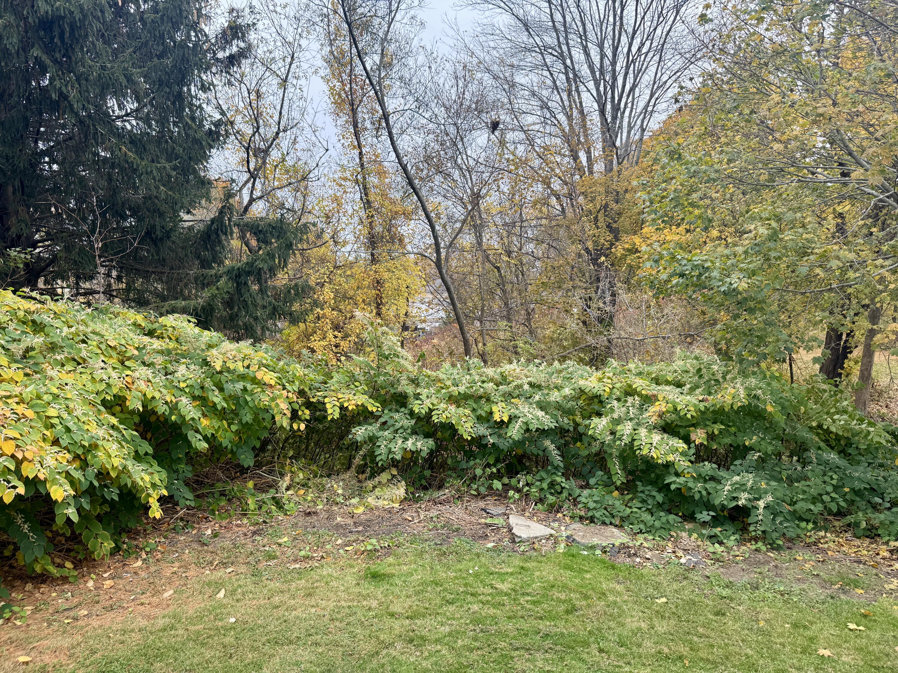 1542 Congress Street Portland ME 04102