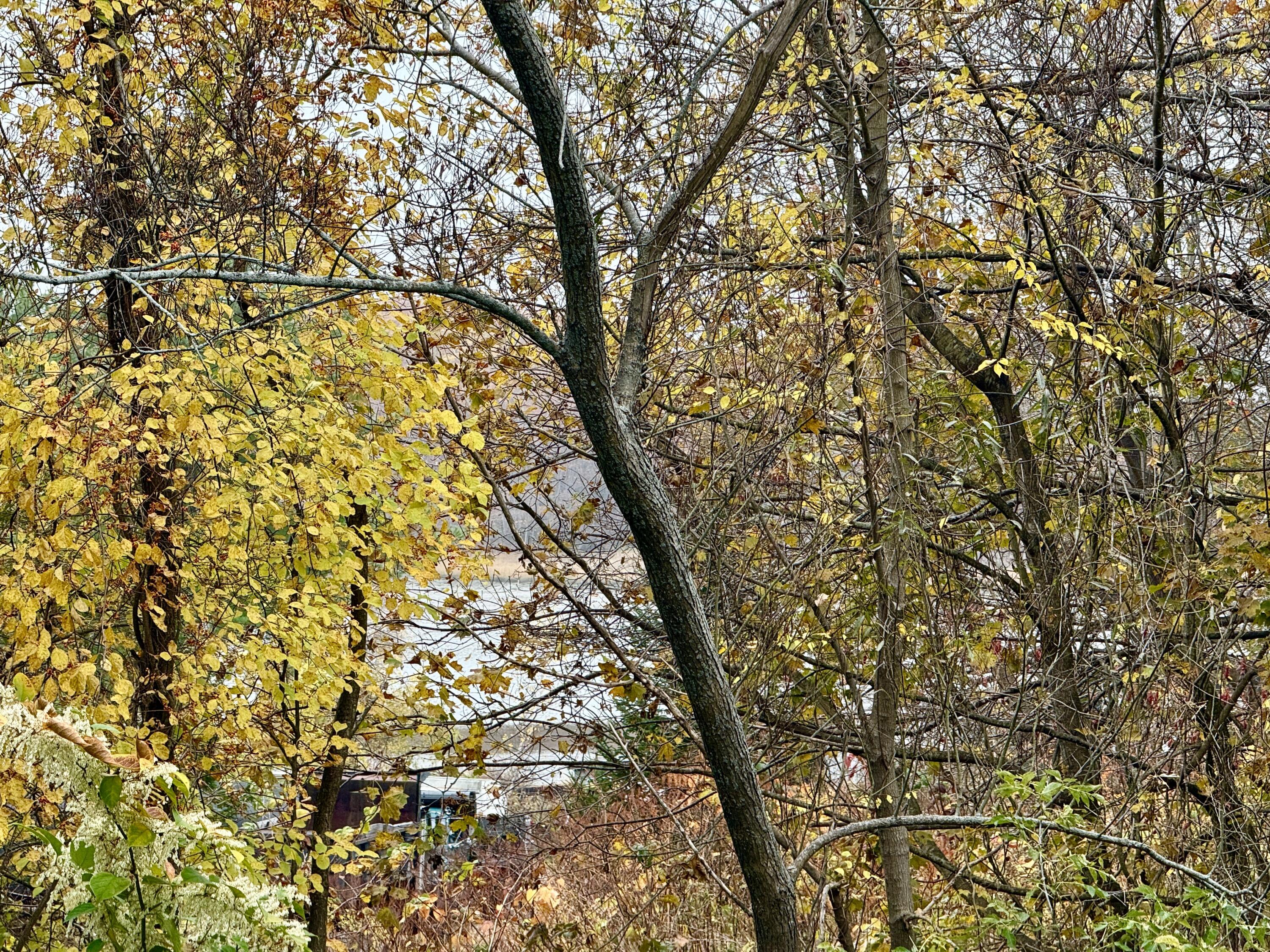 1542 Congress Street Portland ME 04102