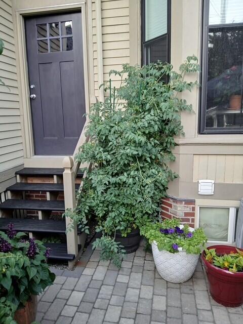 258 Vaughan Street Portland ME 04102