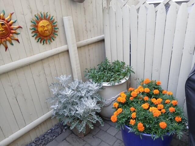 258 Vaughan Street Portland ME 04102