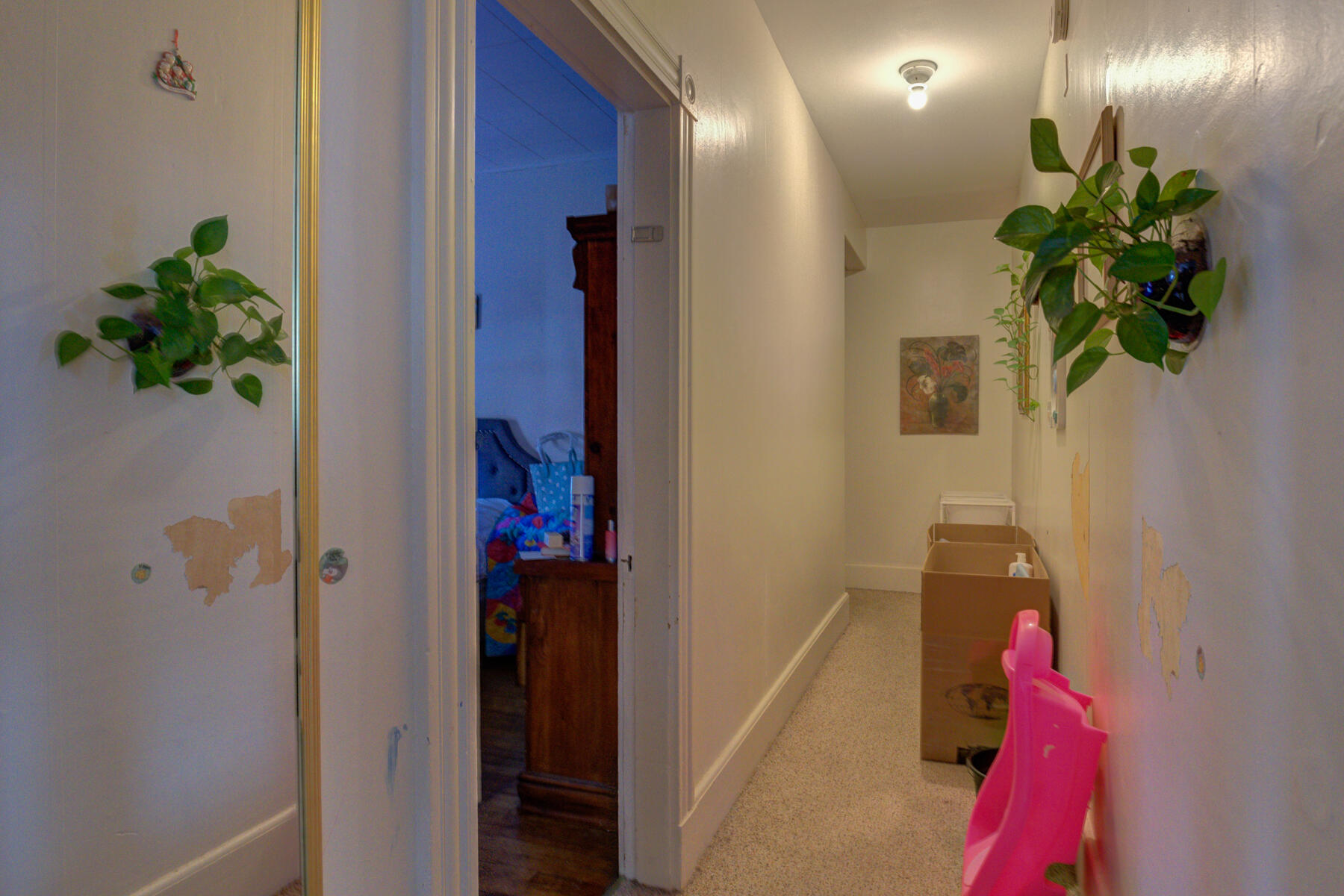337 Pine Street Lewiston ME 04240