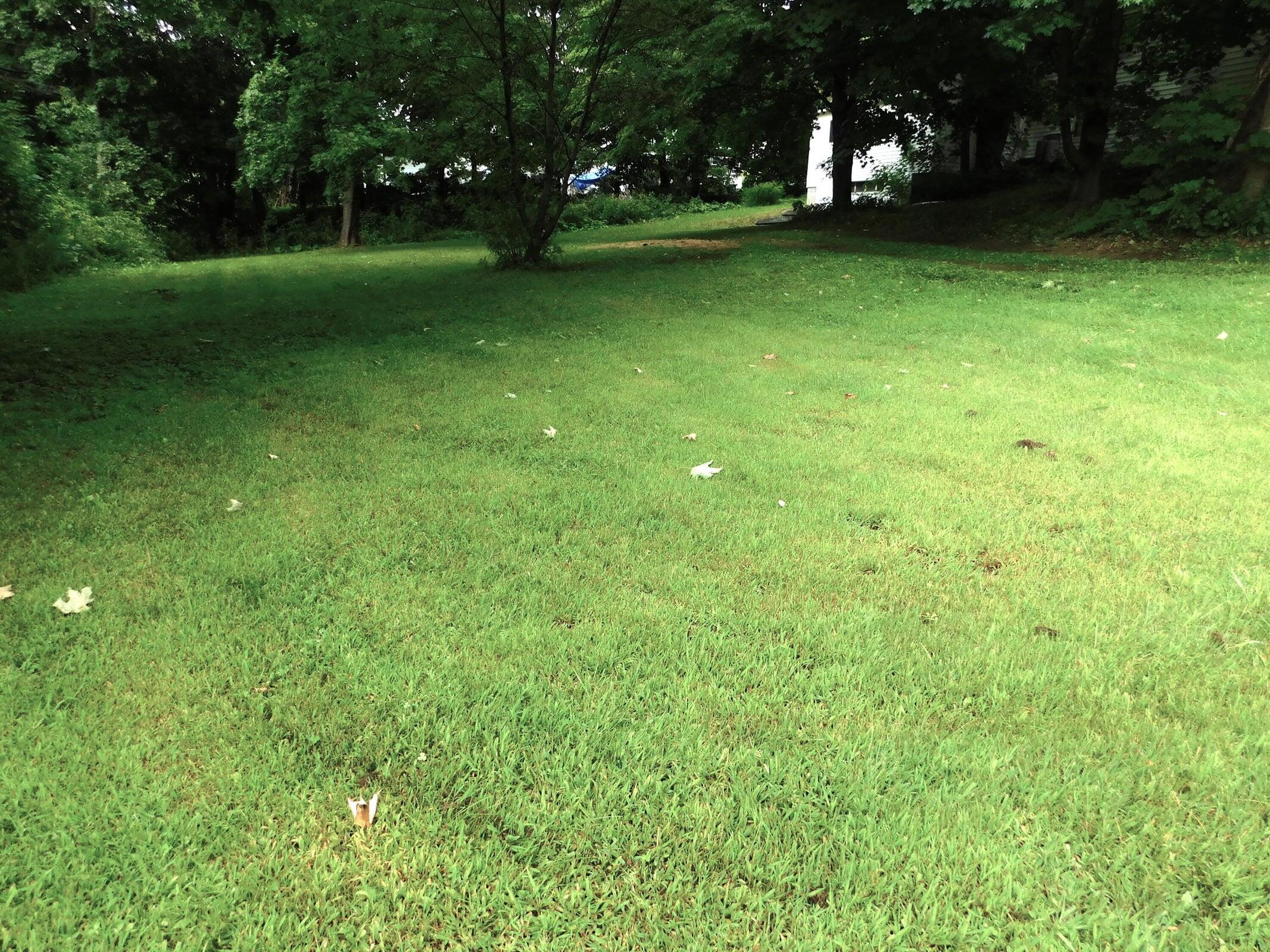 73 Spring Street Dexter ME 04930