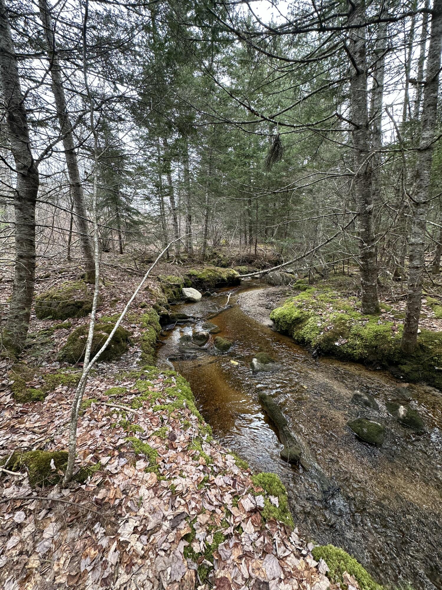 82 Station Road Jonesboro ME 04648