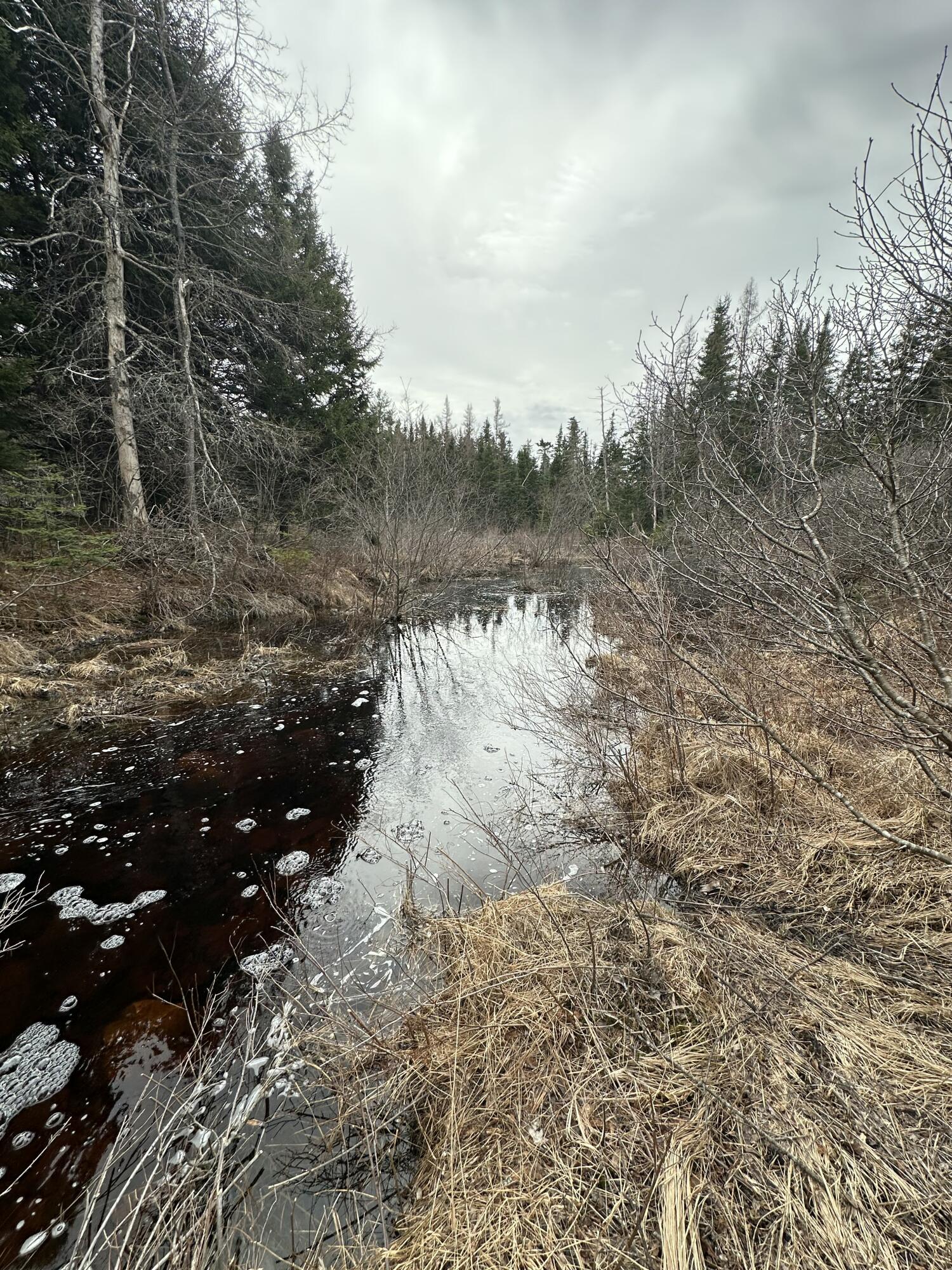 82 Station Road Jonesboro ME 04648