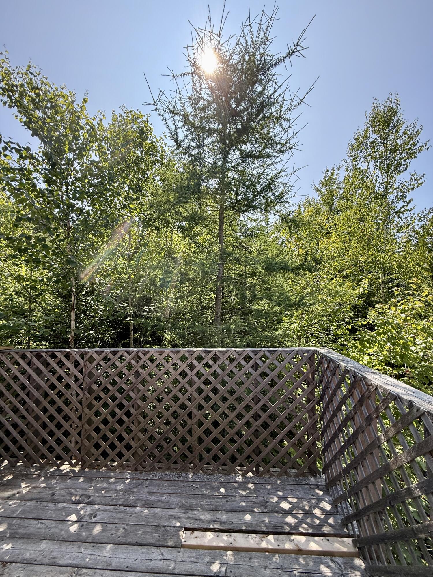 33 Corn Hill Road Machiasport ME 04655