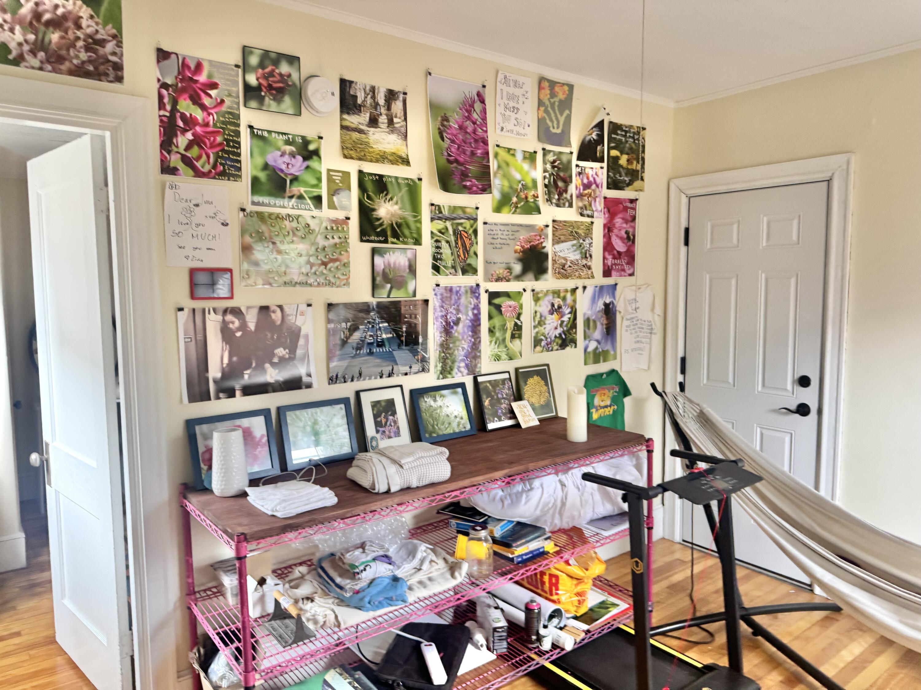9 Grasmere Road Portland ME 04101