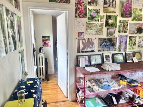 9 Grasmere Road Portland ME 04101