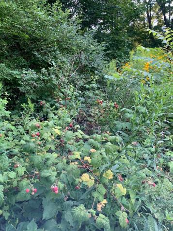 18 Belgrade Road Oakland ME 04963