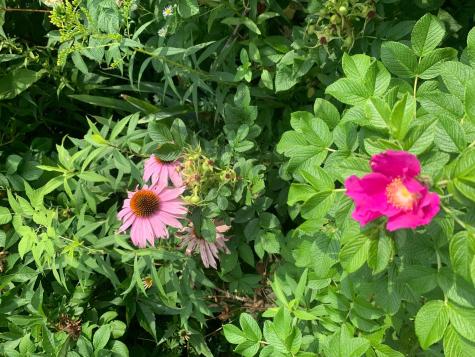 18 Belgrade Road Oakland ME 04963