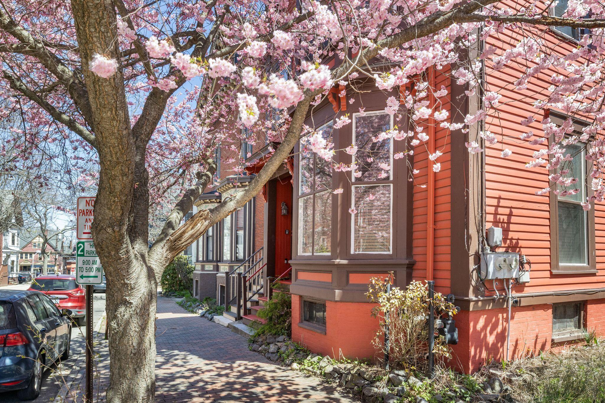 75 Carleton Street Portland ME 04102