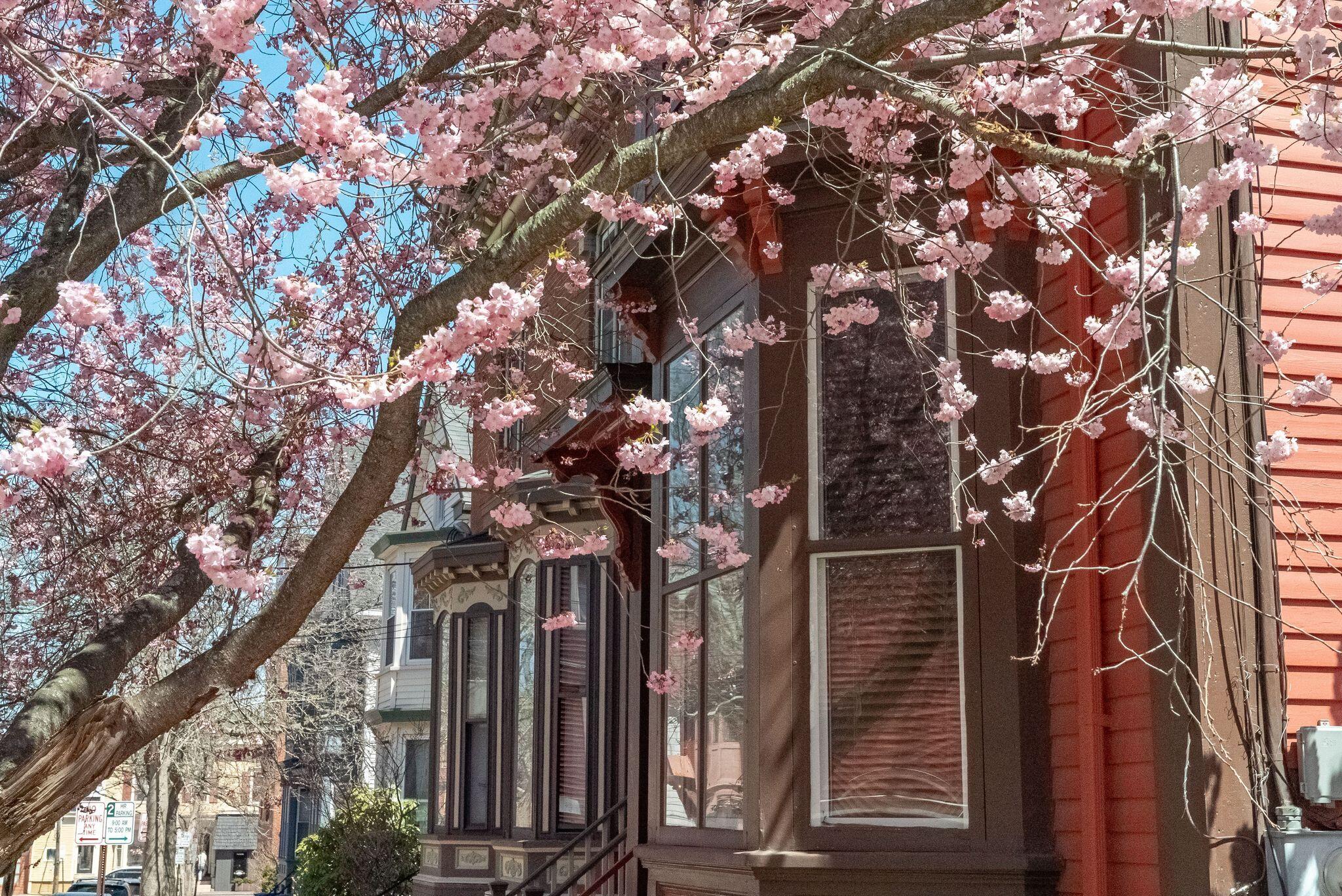 75 Carleton Street Portland ME 04102