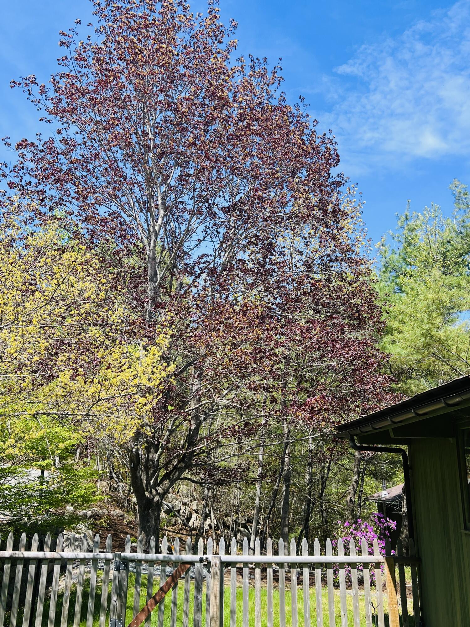 90 N Sedgwick Road Sedgwick ME 04676