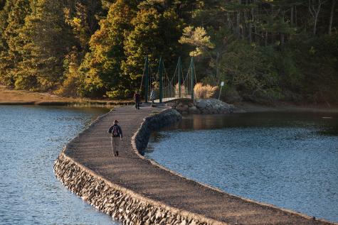 11 Elm Drive York ME 03909