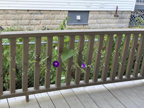 301 Stevens Avenue Portland ME 04103