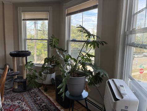 301 Stevens Avenue Portland ME 04103