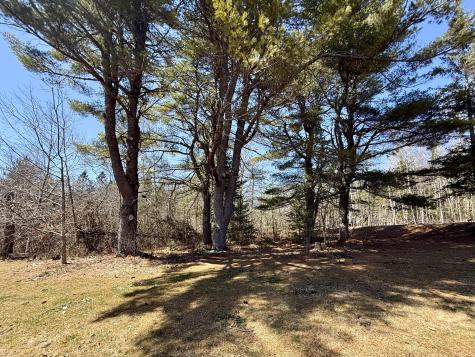 2293&2295 S Princeton Road Baileyville ME 04694
