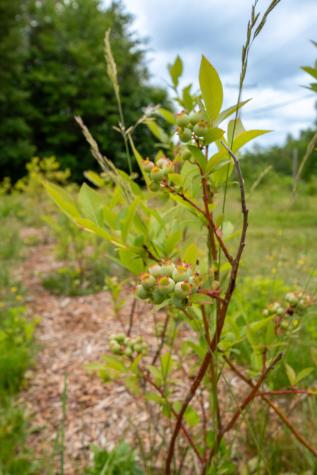 9 State Park Road Dover-foxcroft ME 04426