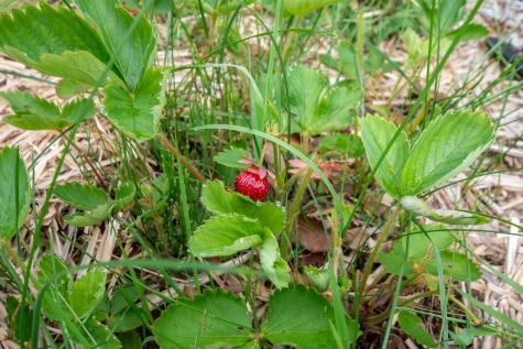 9 State Park Road Dover-foxcroft ME 04426