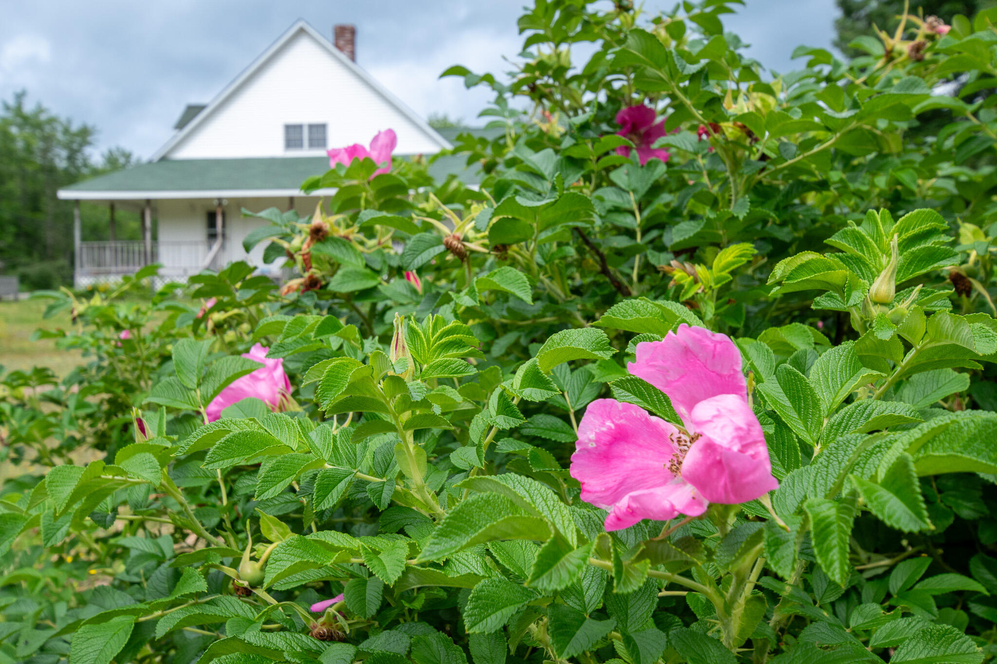 9 State Park Road Dover-foxcroft ME 04426