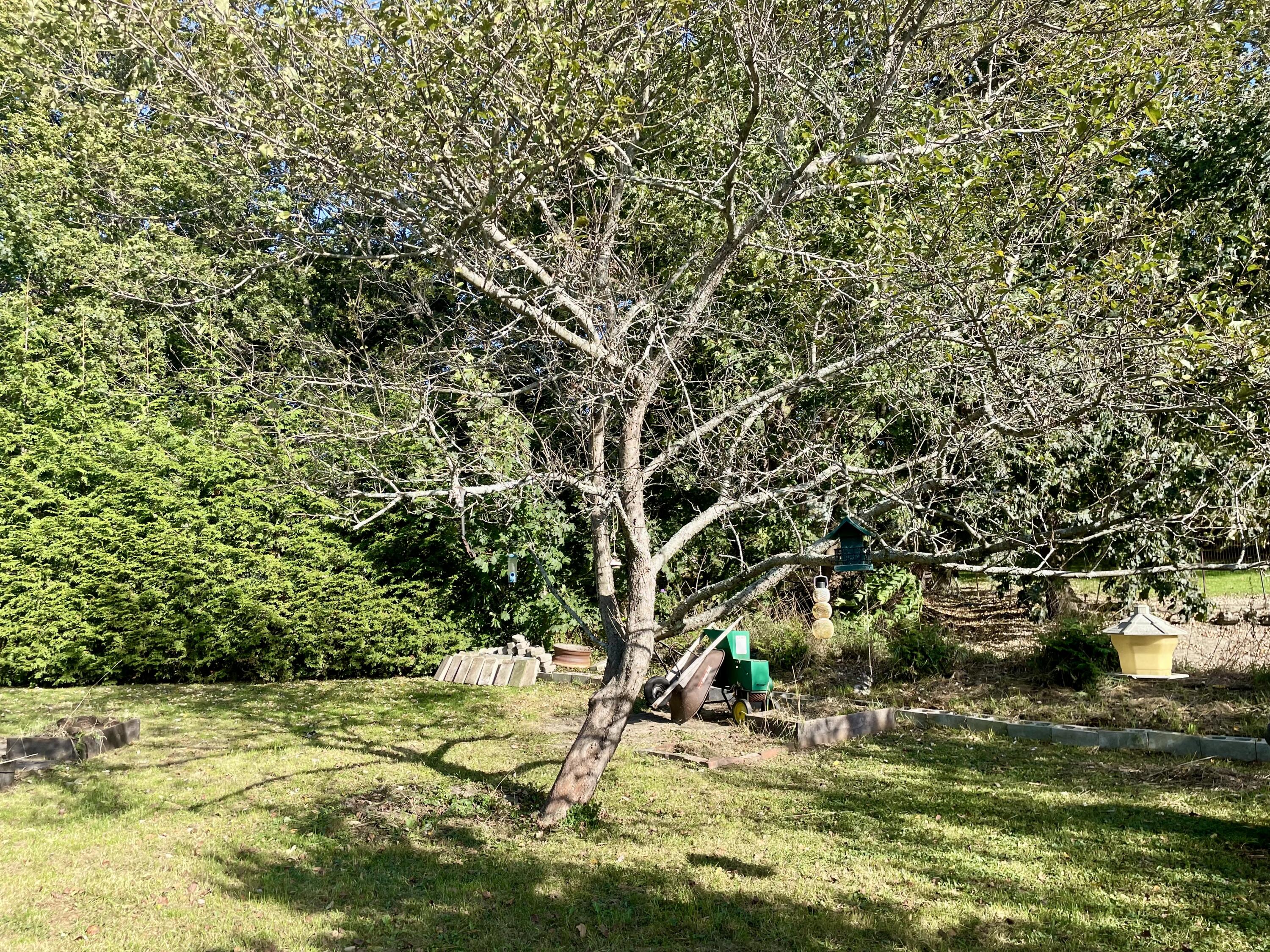 10 Denny Road Bath ME 04530