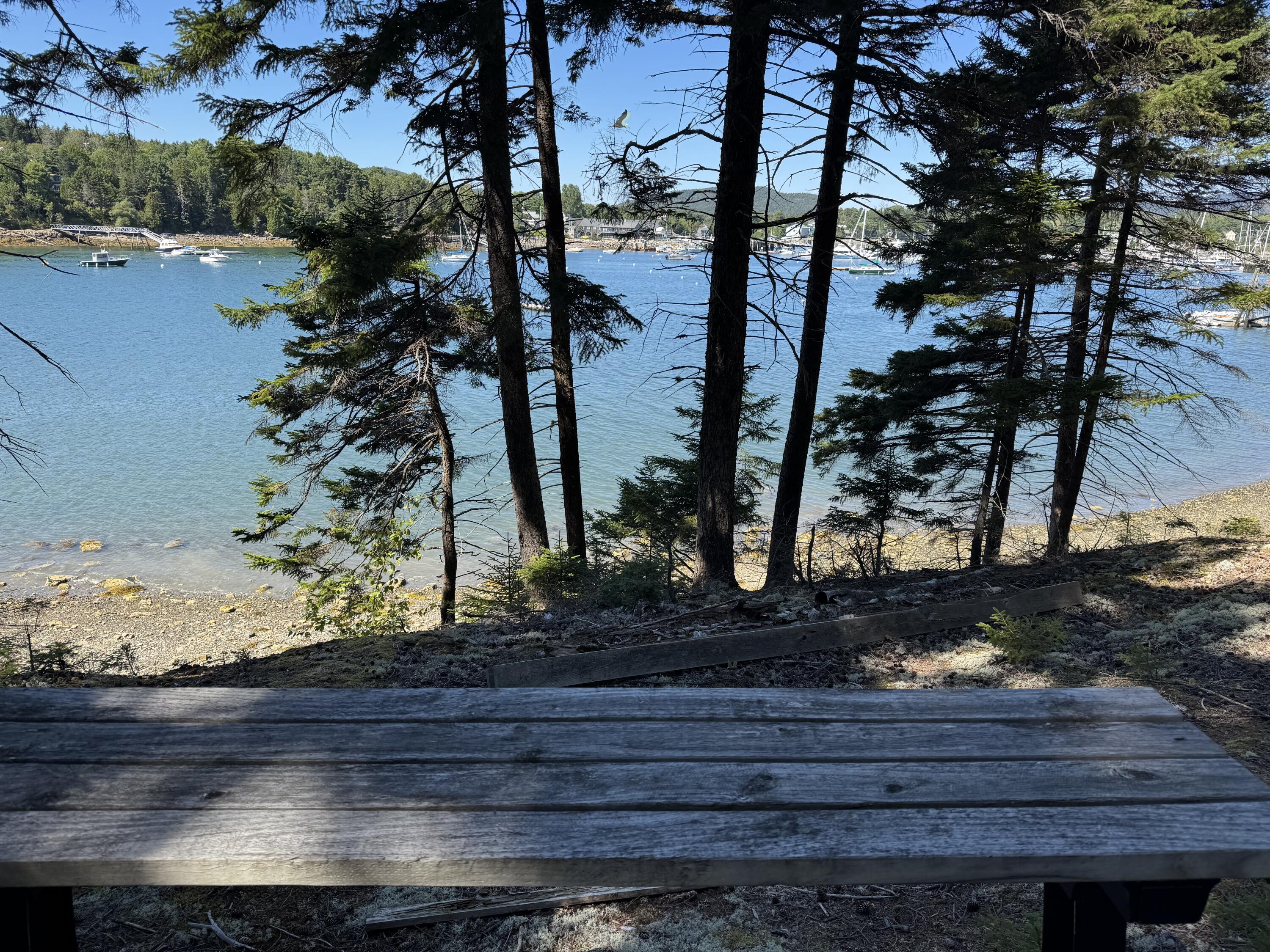 25 Seawall Road Southwest Harbor ME 04679
