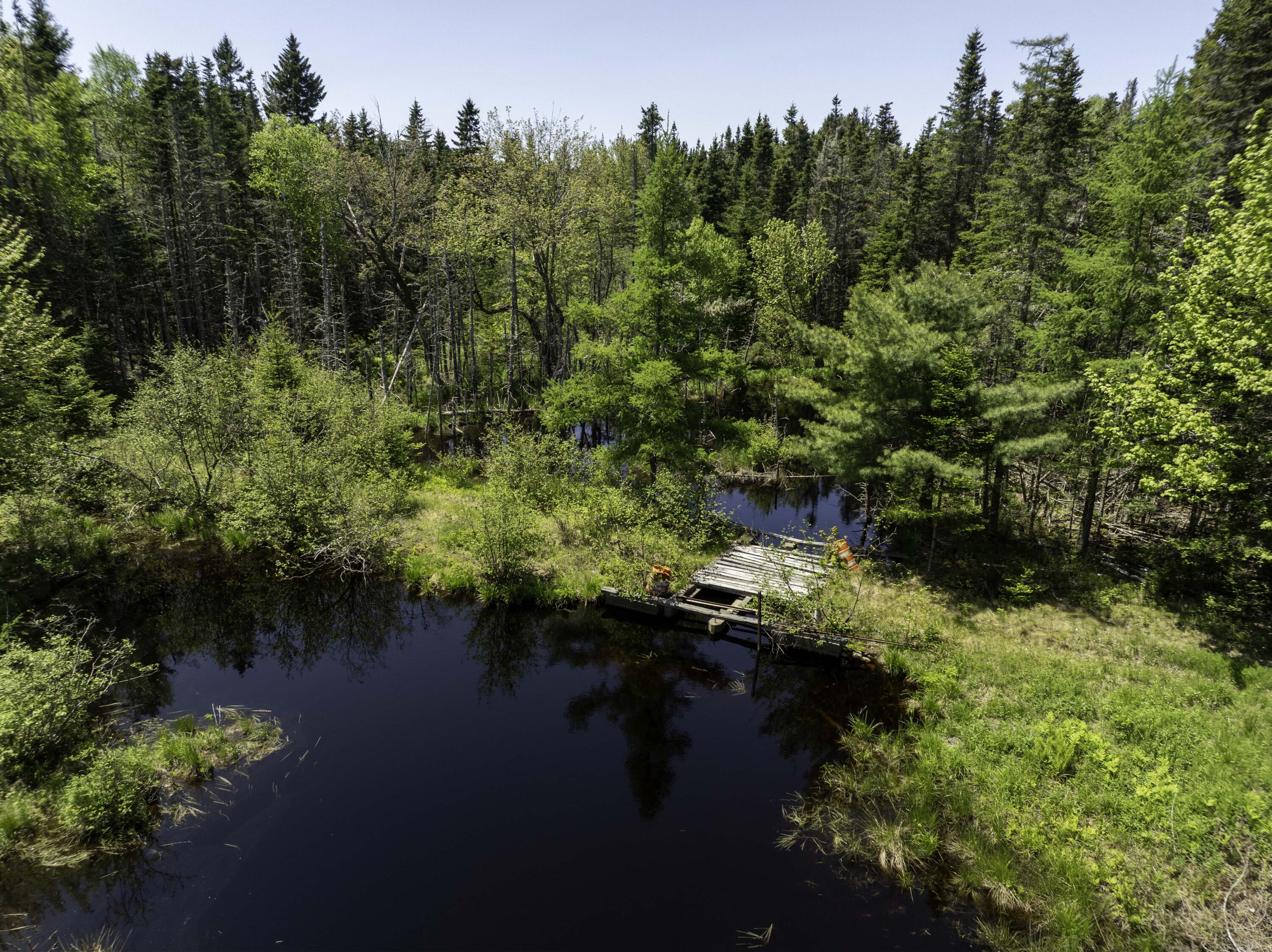 30 Wilkinson Lane Machiasport ME 04655