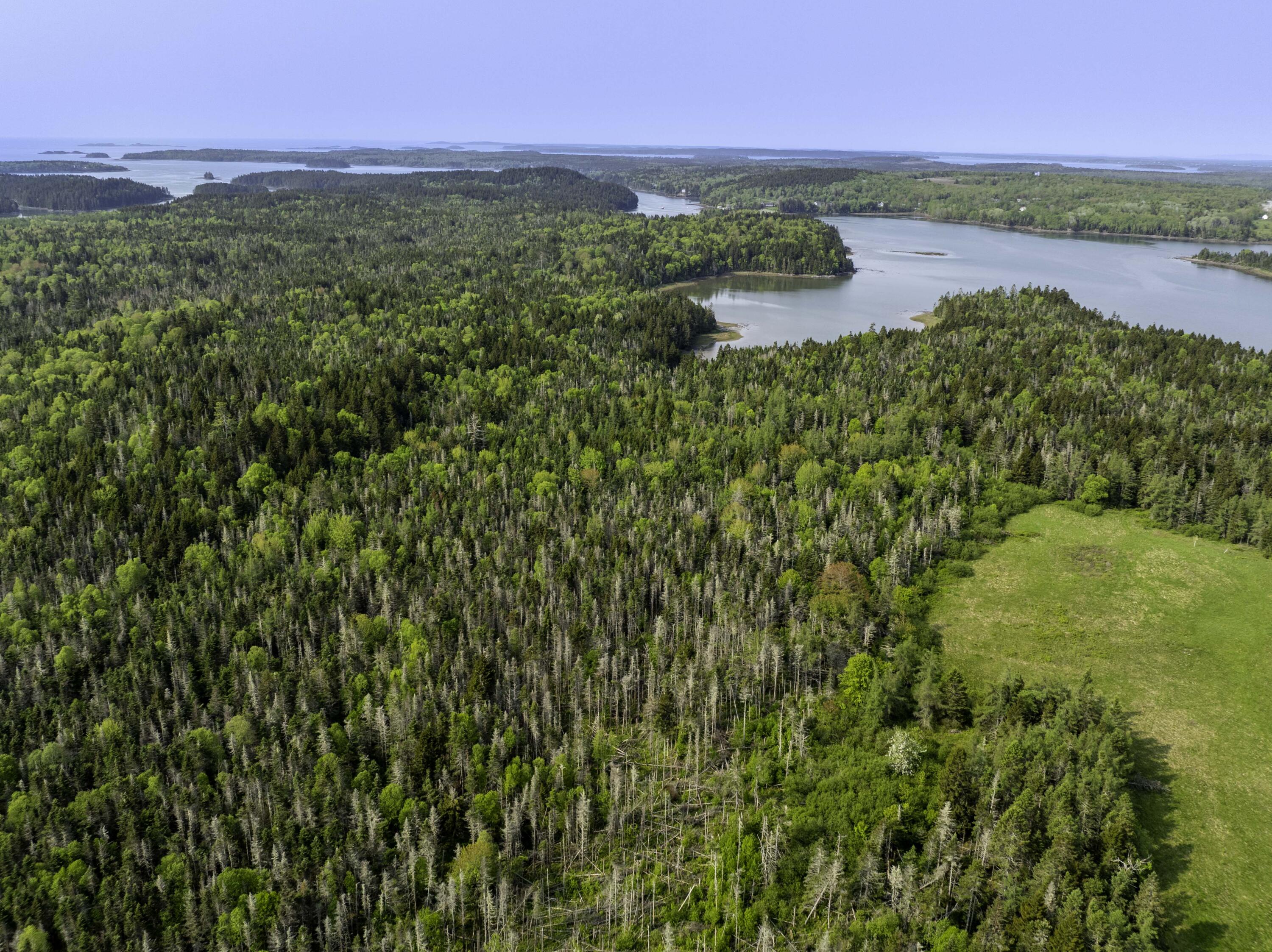 30 Wilkinson Lane Machiasport ME 04655