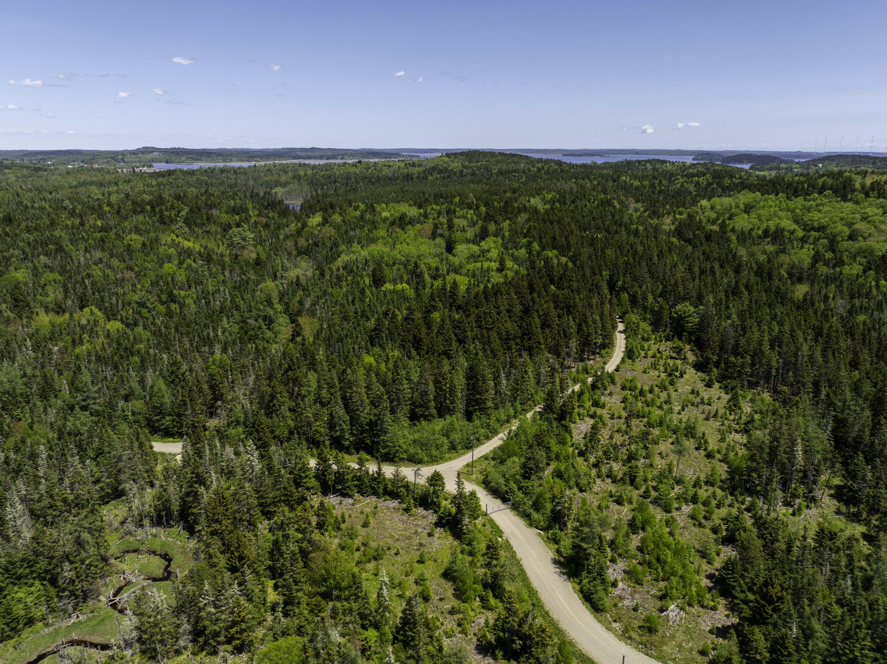 30 Wilkinson Lane Machiasport ME 04655