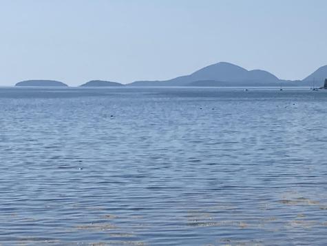 157 Jellison Cove Road Hancock ME 04640