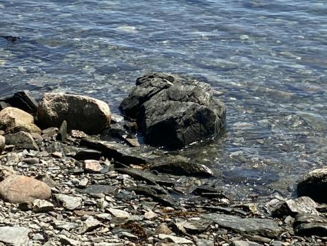 157 Jellison Cove Road Hancock ME 04640