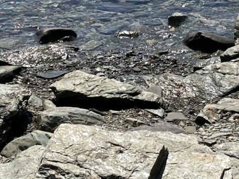 157 Jellison Cove Road Hancock ME 04640