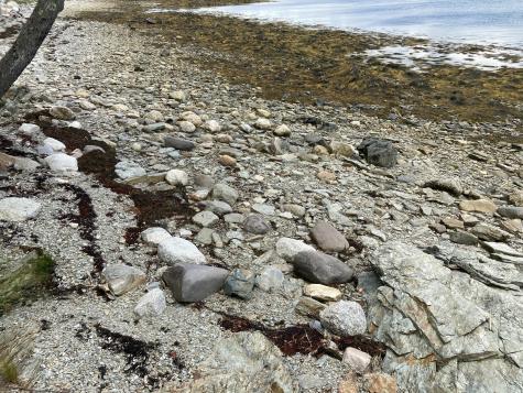 157 Jellison Cove Road Hancock ME 04640