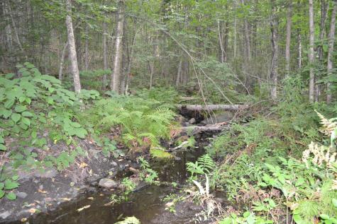 51 N Guilford Road Monson ME 04464