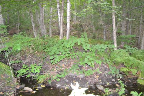 51 N Guilford Road Monson ME 04464