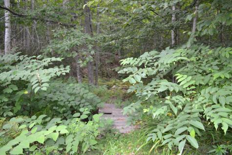 51 N Guilford Road Monson ME 04464