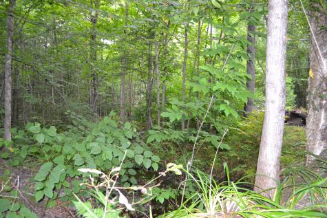 51 N Guilford Road Monson ME 04464