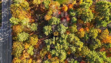 12 Abby Lane New Gloucester ME 04260