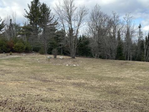 599 Toddy Pond Road Surry ME 04684