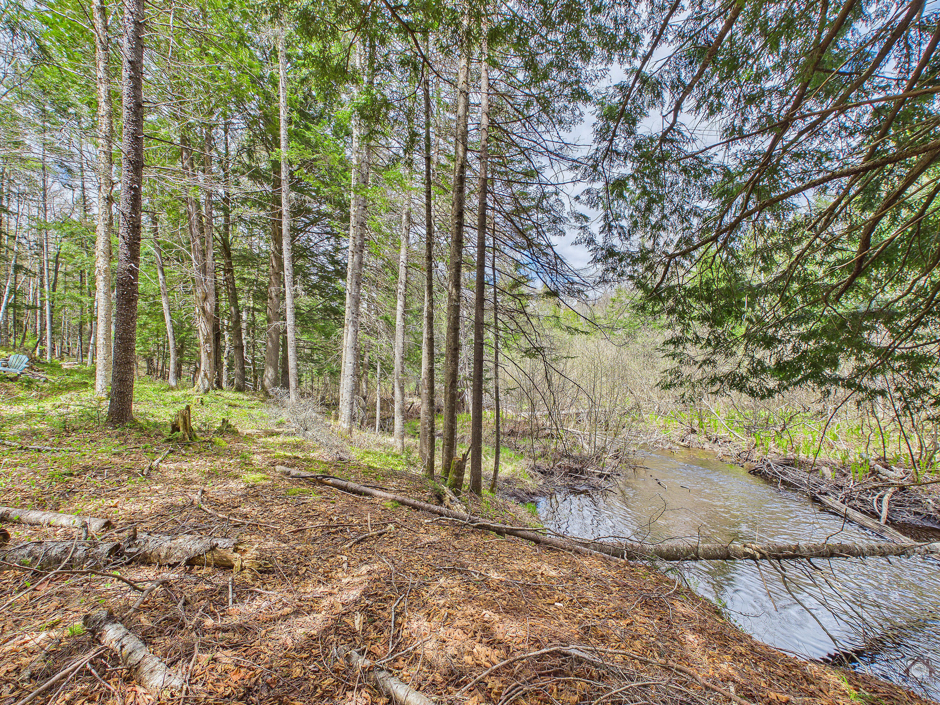 164 Indian Stream Road Kingfield ME 04947