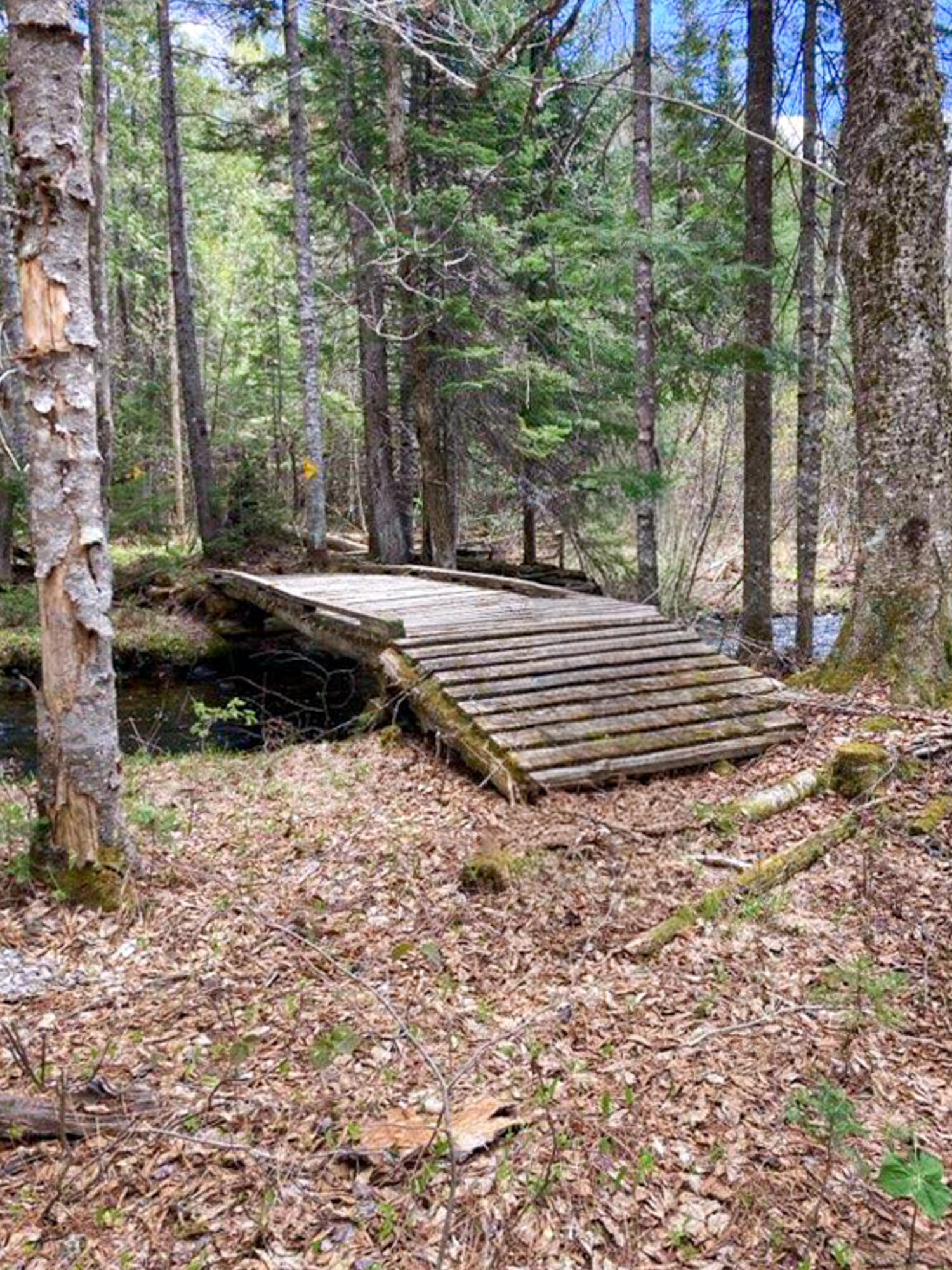 164 Indian Stream Road Kingfield ME 04947