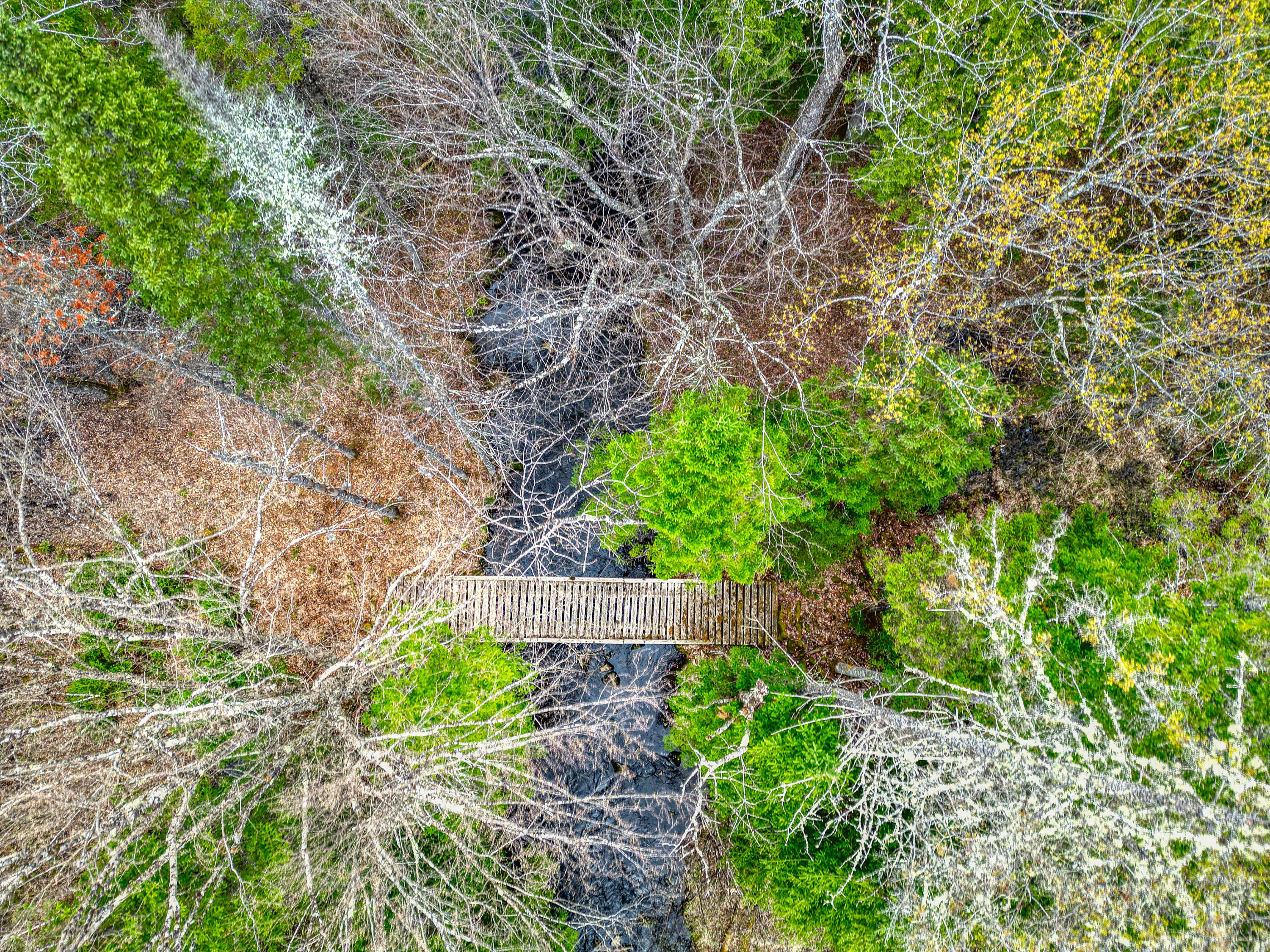 164 Indian Stream Road Kingfield ME 04947