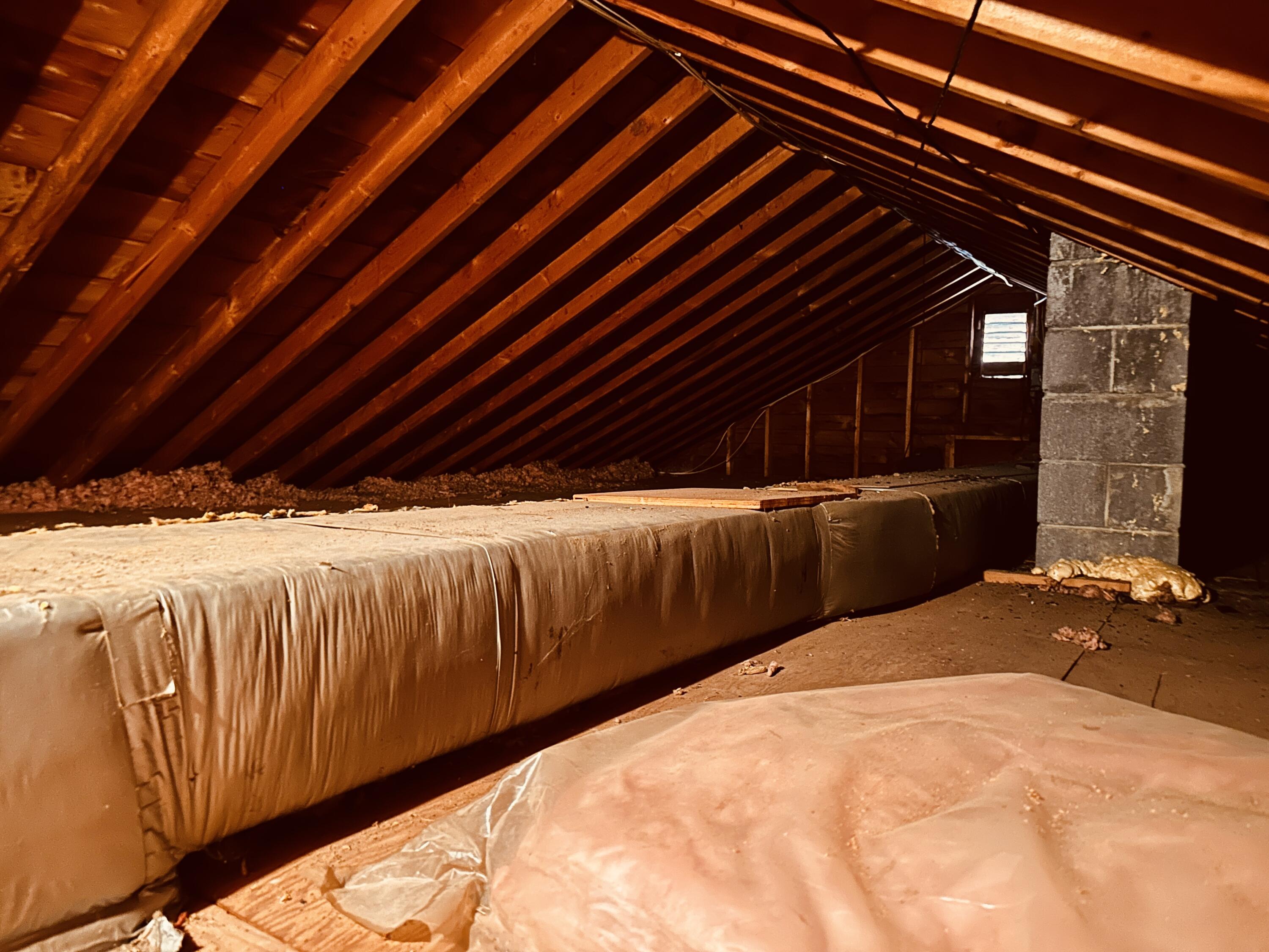 17 Ralph Street Bangor ME 04401