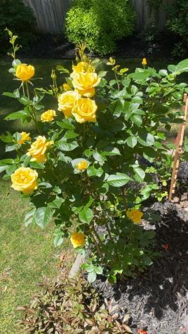 11 Anderson Avenue Westbrook ME 04092