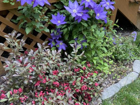 11 Anderson Avenue Westbrook ME 04092