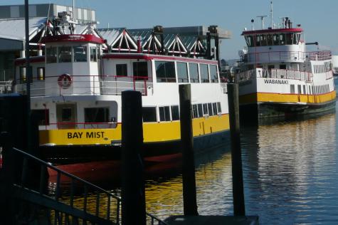 175 Island Avenue Avenue Long Island ME 04050